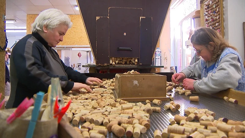 Vrijwilligers verzamelen massaal kurken tijdens eindejaarsperiode om te recycleren