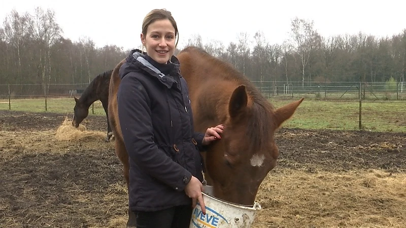 Paardenliefhebber doet emotionele oproep om geen vuurwerk af te steken