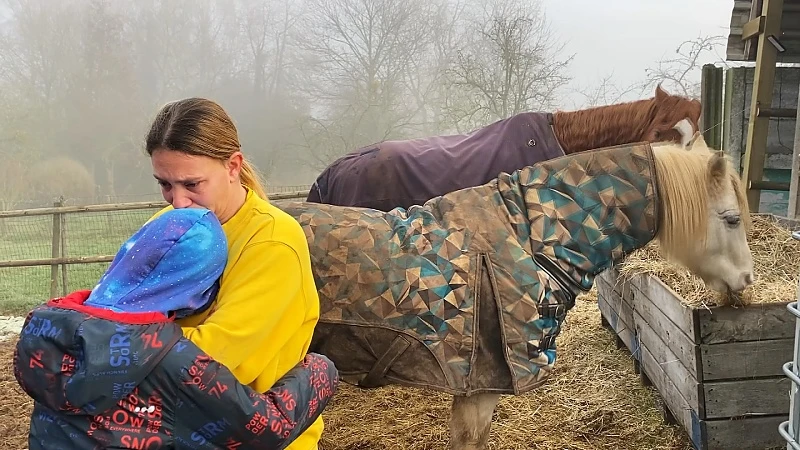 Vuurwerk op Oudejaarsnacht wordt paard fataal in Hoeselt