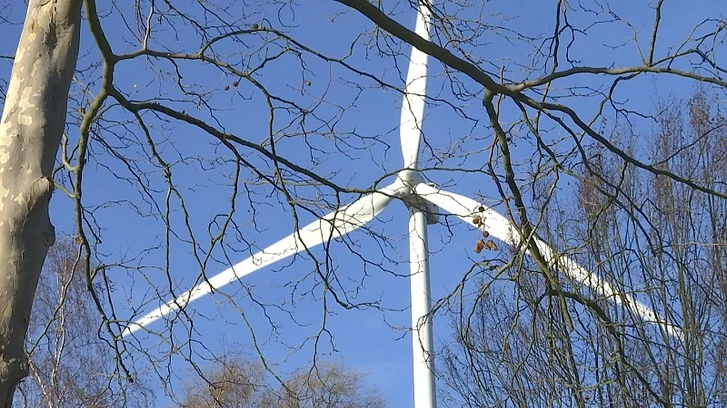 2019 was opnieuw topjaar voor windenergie