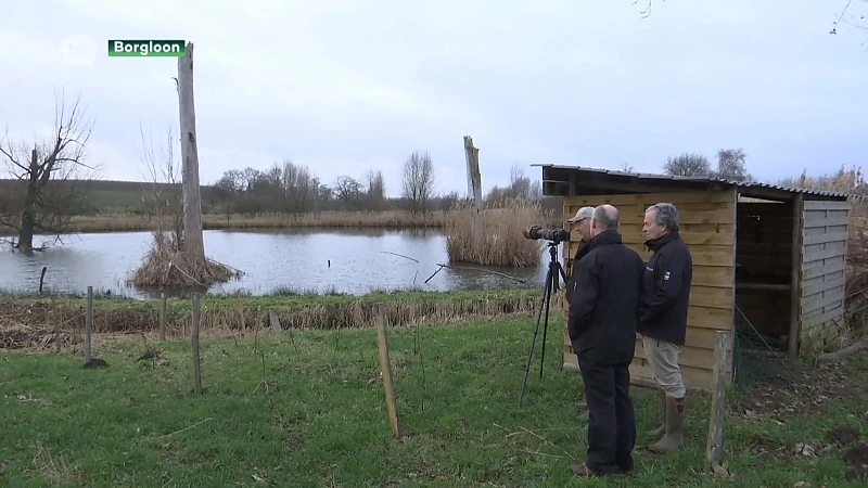 Limburg krijgt tien nieuwe natuurgebieden
