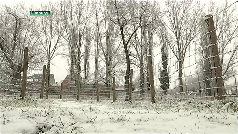 Waar blijft de winter?
