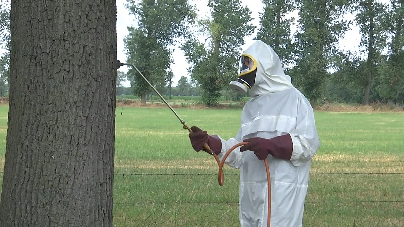 Limburg koploper in gebruik pesticiden