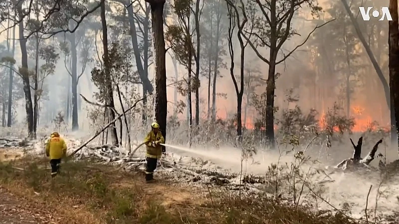 Hasseltse in Australië heeft weer hoop