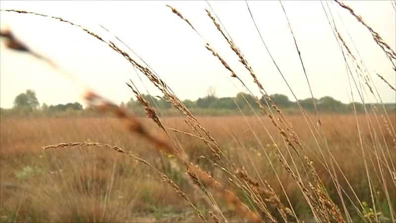Kristalpark Lommel haalt eerste bedrijf binnen