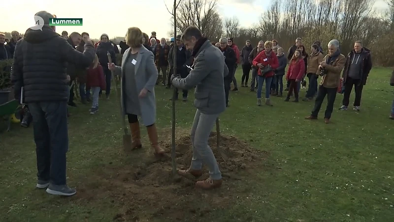 Protestactie bomenkap Schulensmeer