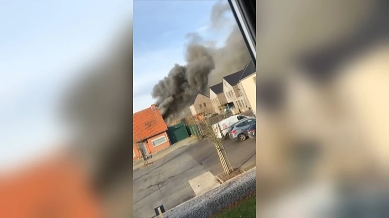 Hond komt om bij zware woningbrand in Bree