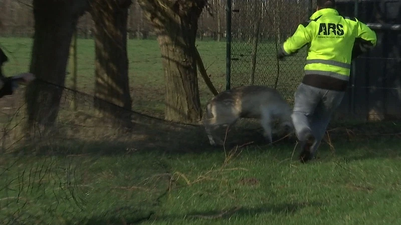 TVL Nieuws, 6 februari 2020