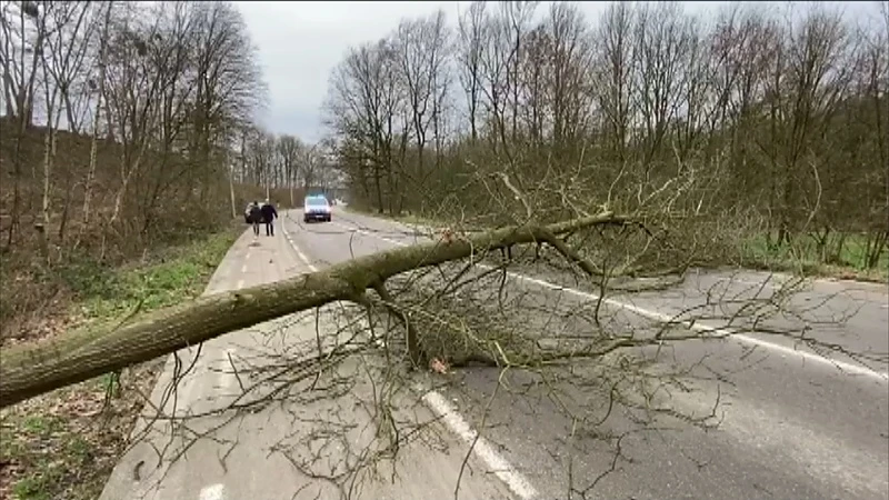 Storm Ciara richt voorlopig beperkte schade aan