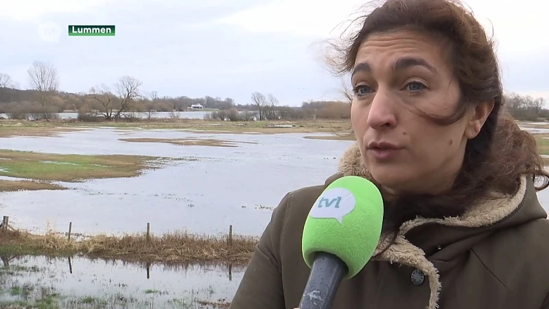 Minister Demir stopt bomenkap aan Schulensmeer en plant overleg