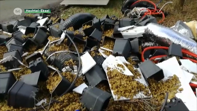 Restanten wietplantages op straat gedumpt in Hechtel-Eksel