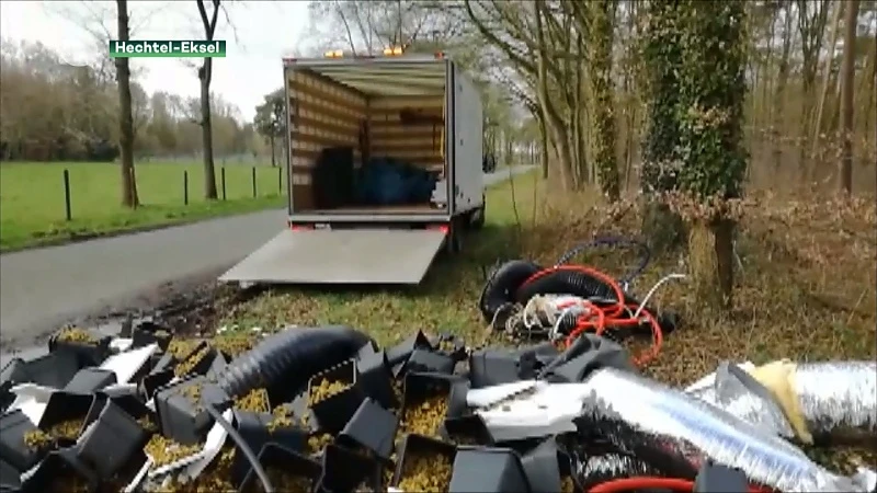 Restanten wietplantage op straat gedumpt in Hechtel-Eksel
