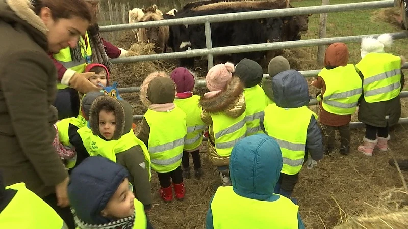 Zuhal Demir trekt 2,5 miljoen extra uit voor aankoop bossen