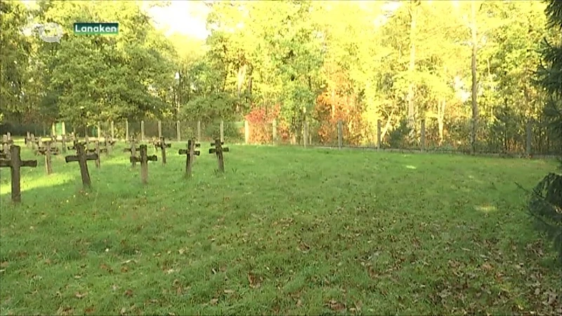 Groen wil een natuurbegraafplaats in Hasselt