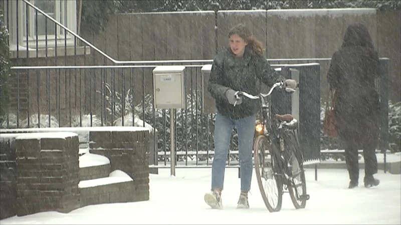 Koning Winter meldt zich morgenochtend met kans op laagje sneeuw en moeilijke ochtendspits