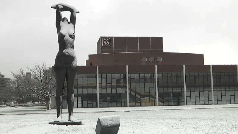 Eerste sneeuw: veel pret en weinig ellende