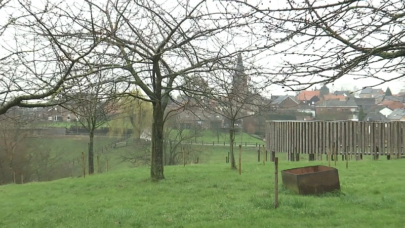 Vlaamse geld voor Zuid-Limburgse hoogstamboomgaarden