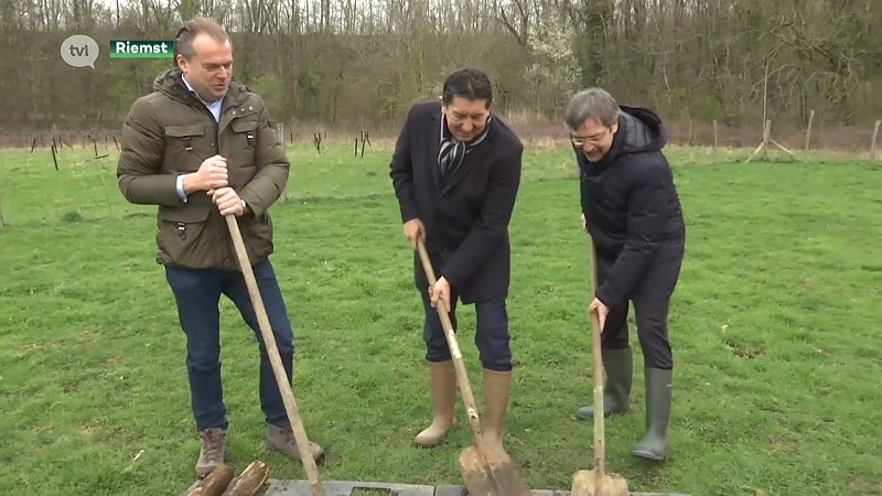 Symbolische boomplanting op grens beide Limburgen