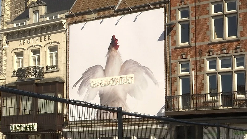 Truiens Cosmocafé van Koen Vanmechelen slaat vleugels uit