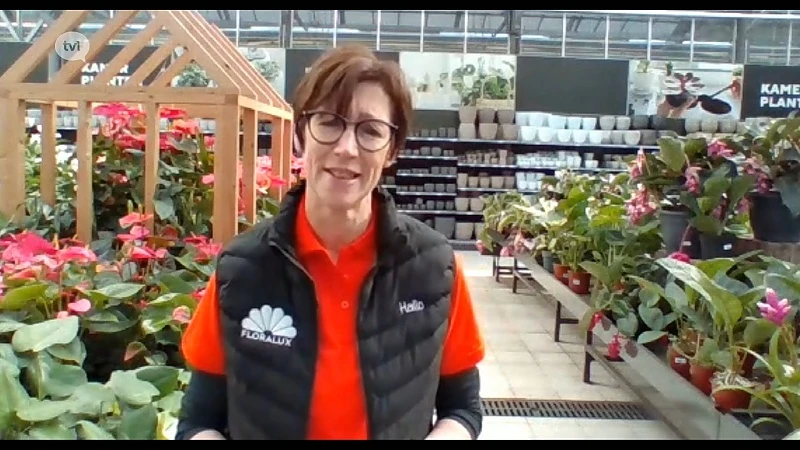 Gesprek met Marleen Theys