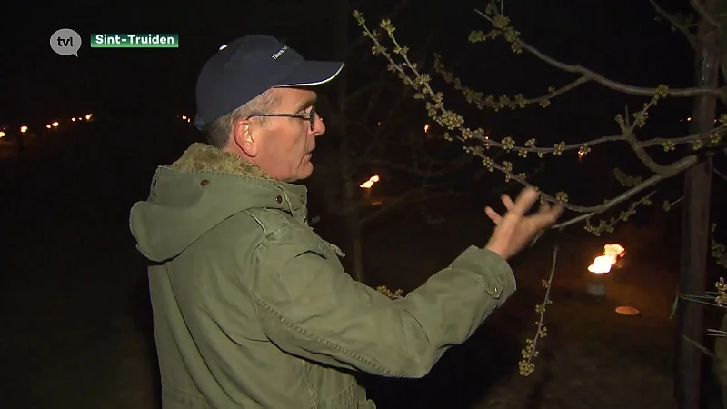 Fruittelers proberen oogst te redden met vuurkorven