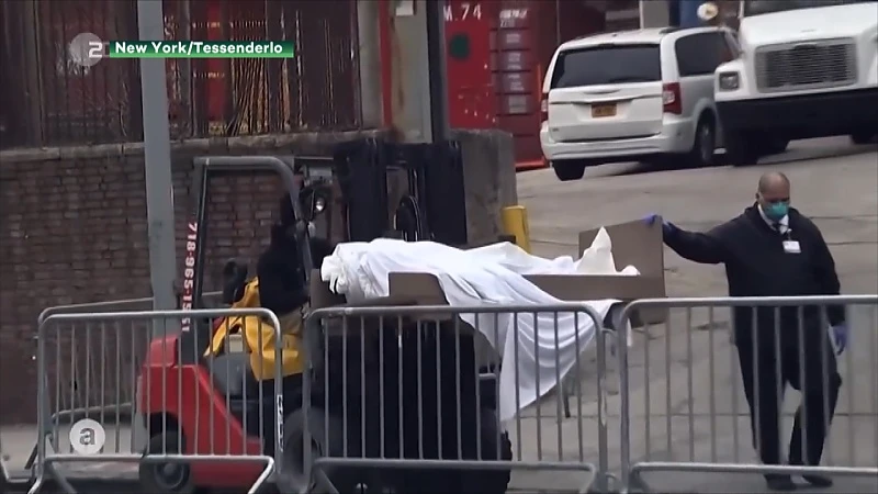 Looise getuigt over slagveld New York