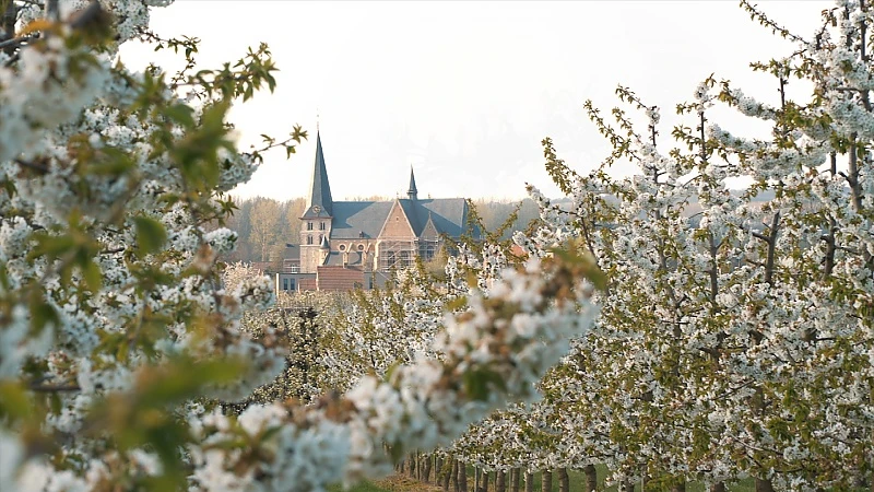 Trudofederatie luidt met bloesempracht paasweekend in