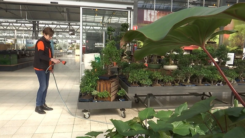 Burgemeester Hasselt: "Maak van bezoek tuincentra geen familie-uitstap"