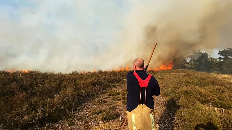 Brand in natuurgebied de Teut