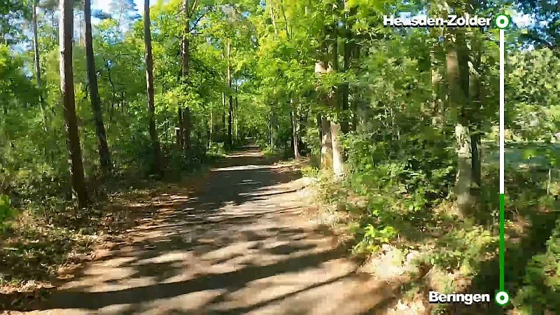 Bloesemlussen: Beringen naar Heusden-Zolder