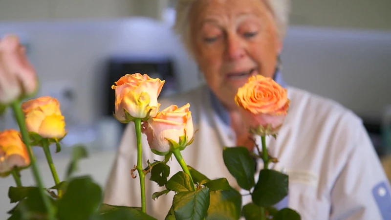 Rik Bloemen grijpt Rerum Novarum aan om helden in de zorg te belonen