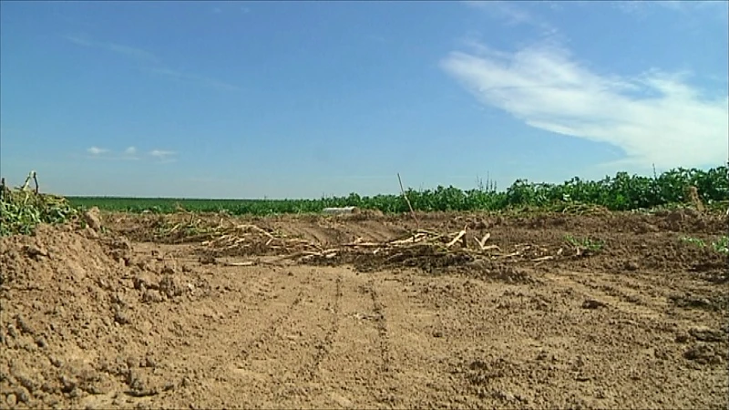 Demir richt taskforce op om droogte aan te pakken
