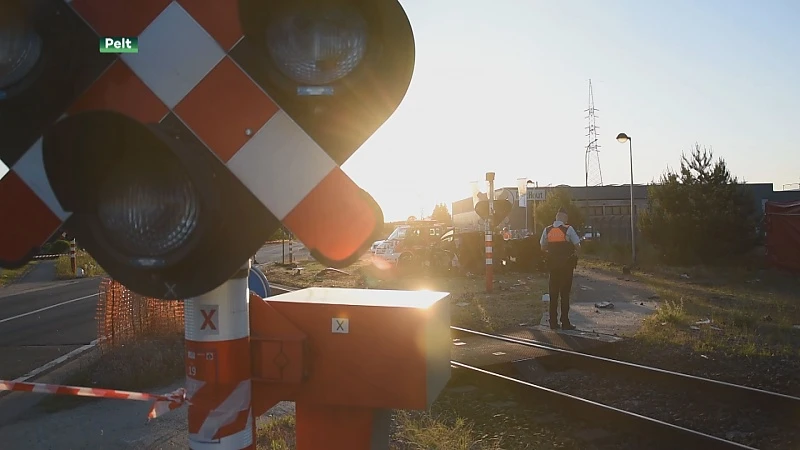 Bestuurder komt om na klap tegen trein in Pelt