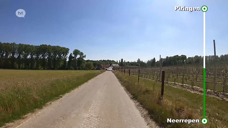 Fruitige landschappen met pit: Neerrepen naar Piringen
