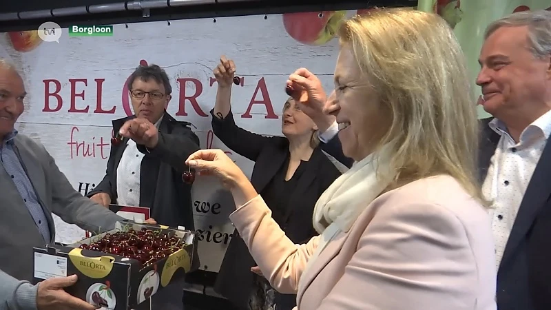 Goed nieuws voor fruitsector: mensen eten meer fruit dan voor de coronacrisis