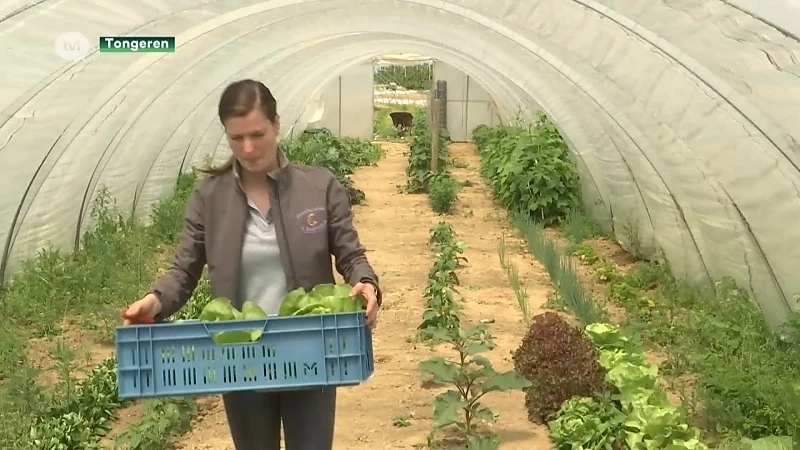 Hoeveproducten van de boer via de korte keten zijn populairder dan ooit na de coronacrisis