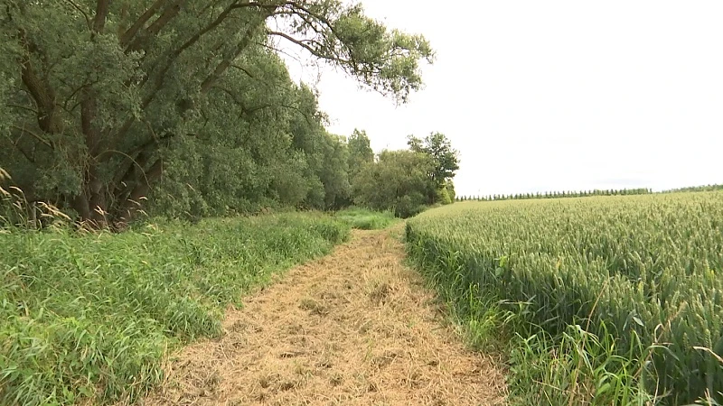 Zuhal Demir pakt waterproblemen in landelijke gebieden aan