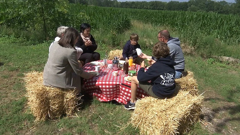 PicknickPoint lanceert online boekingsplatform voor picknicks
