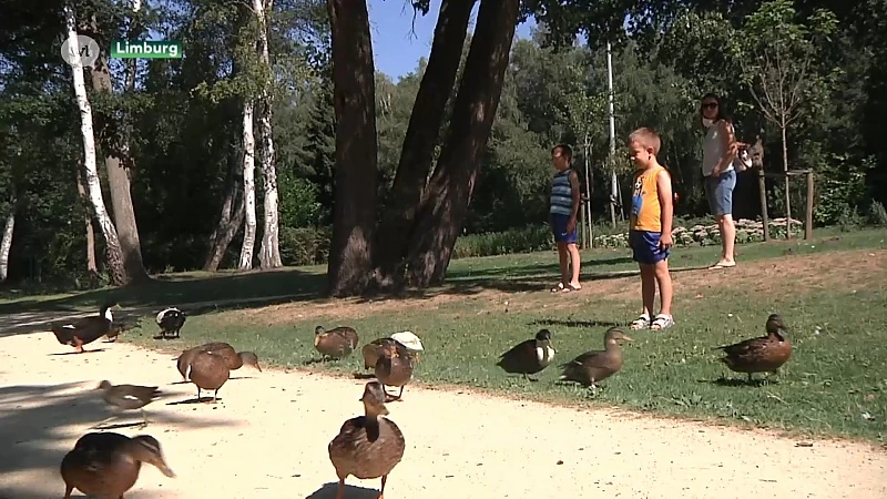 We zijn nog niet verlost van de hittegolf, pas volgende week daalt het kwik onder de 25 graden