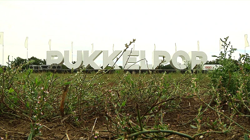 Pukkelpopletters duiken op aan akelig stille festivalweide