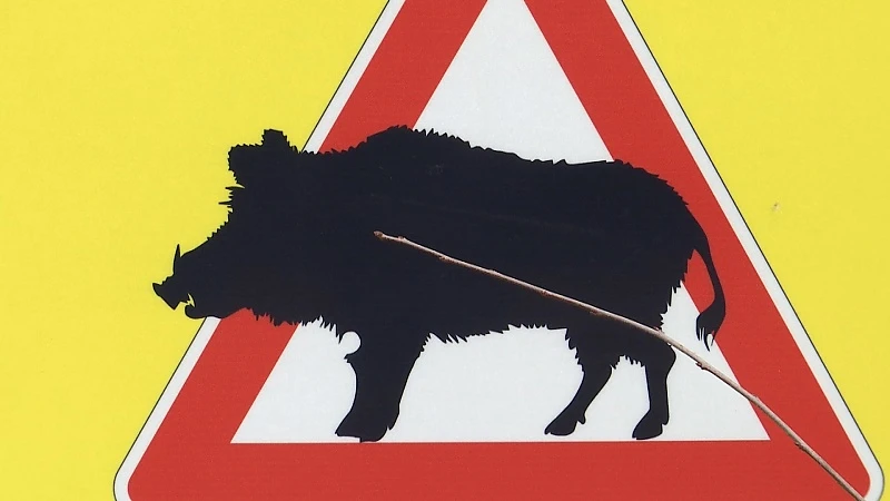 Jacht-app moet wild in kaart brengen