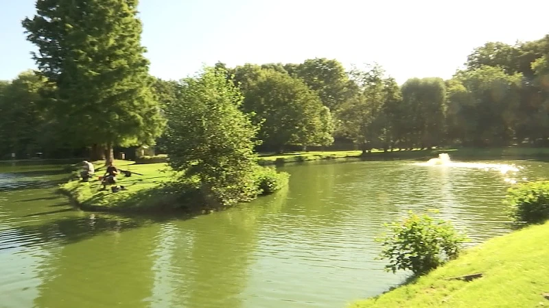 N-VA klaagt waterverspilling aan in vijver Herk-de-Stad