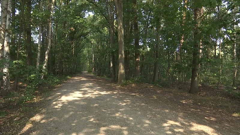 UNIZO Limburg: "Nood aan groot Limburgs overleg tussen werkgeversorganisaties & natuurverenigingen."