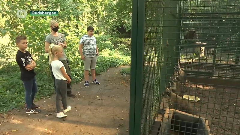 Verzorgers voor één dag in het Natuurhulpcentrum