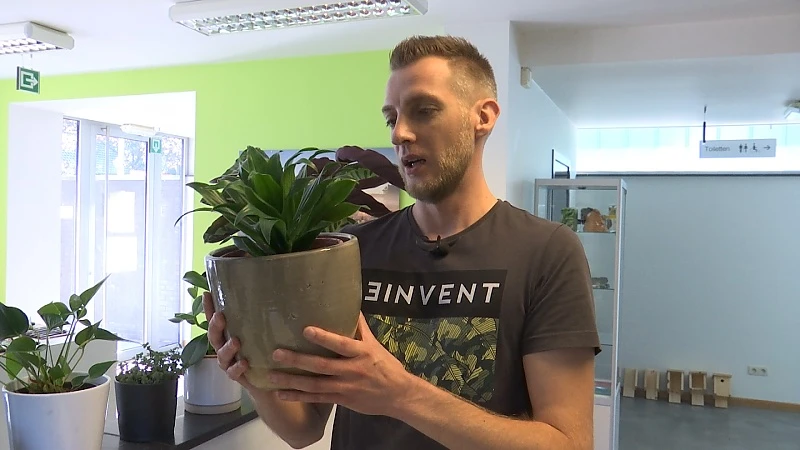 Asielcentrum voor planten opent deuren in Genk