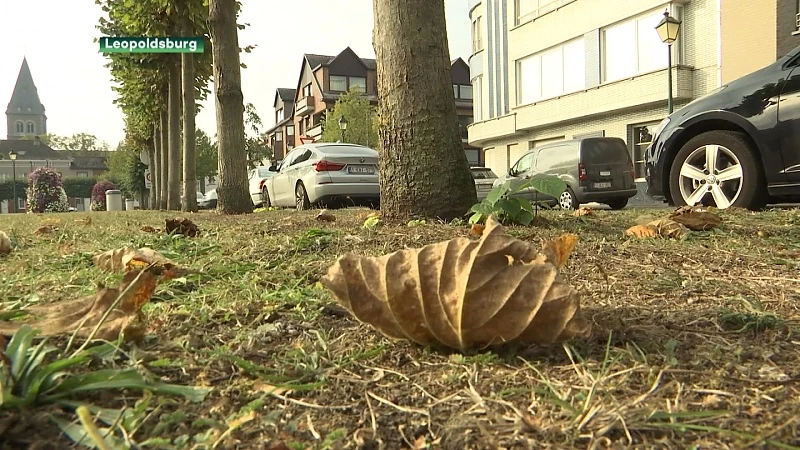 Vanaf morgen is het definitief gedaan met het mooie weer