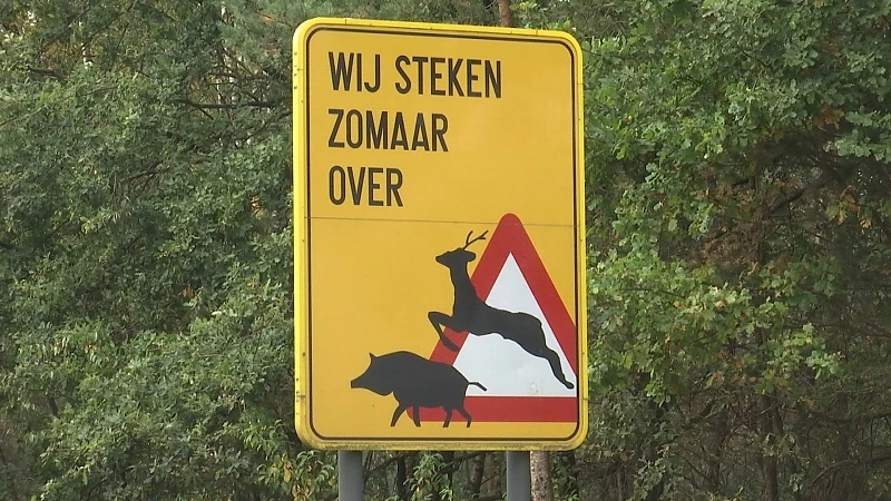 Ministers Demir en Peeters investeren 25 miljoen in diervriendelijke oversteekplaatsen in Limburg