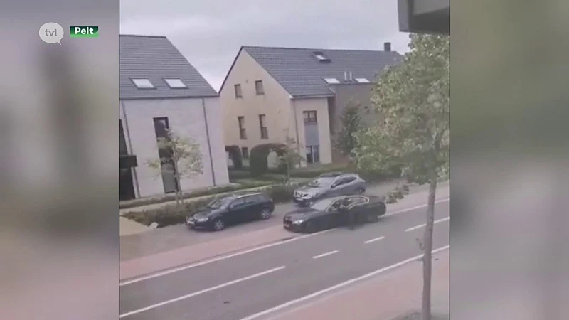 Dader op de vlucht na schietpartij in Pelt