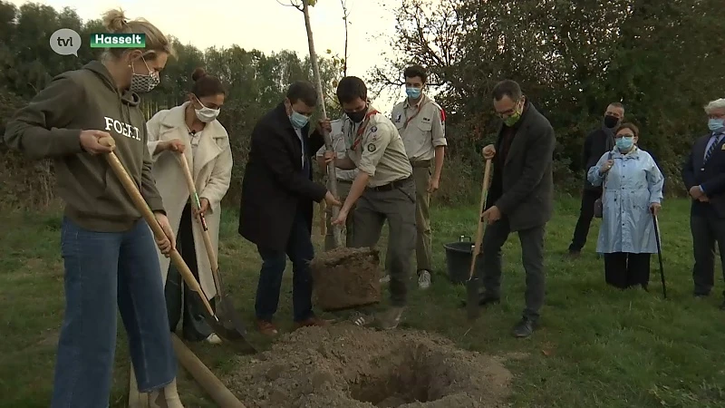 Hasseltse scouts planten eigen bos