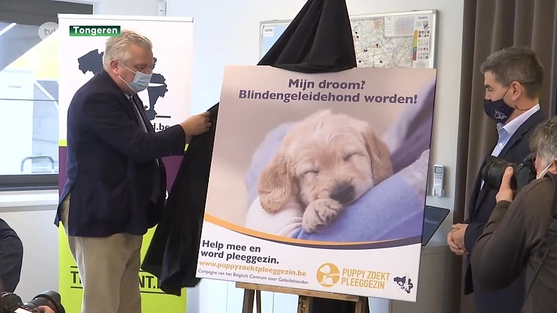 Prins Laurent: "Prinses Delphine is welkom bij mij"